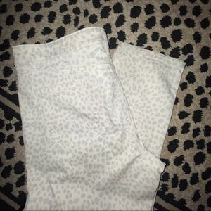 NWT Ann Taylor LOFT modern skinny cream animal 14